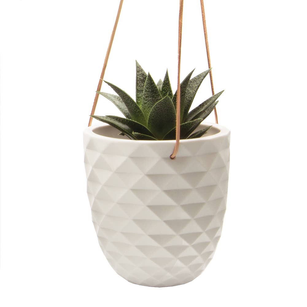 Geometric Ceramic Hanging Planter