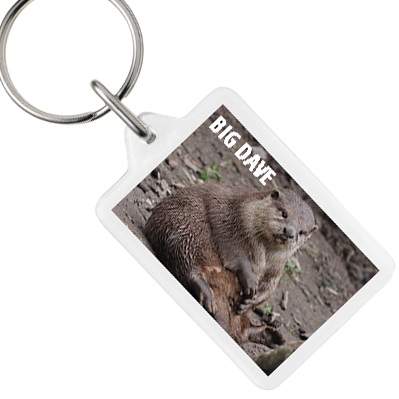 Otter Sanctuary Key rings