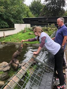 The Otter Experience at The Dartmoor Otter Sanctuary (for up to two adults)