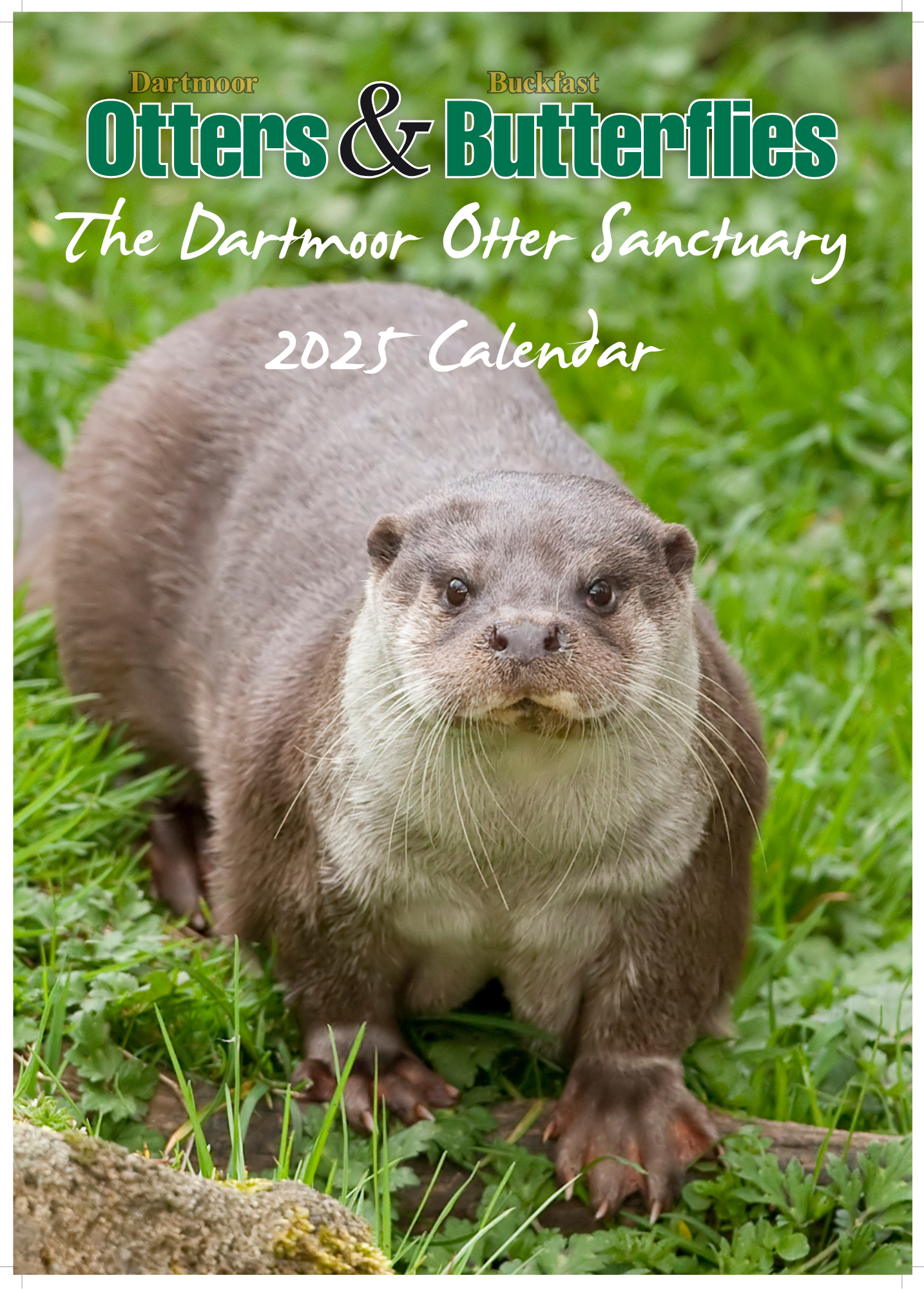 Otters & Butterflies 2025 Calendar