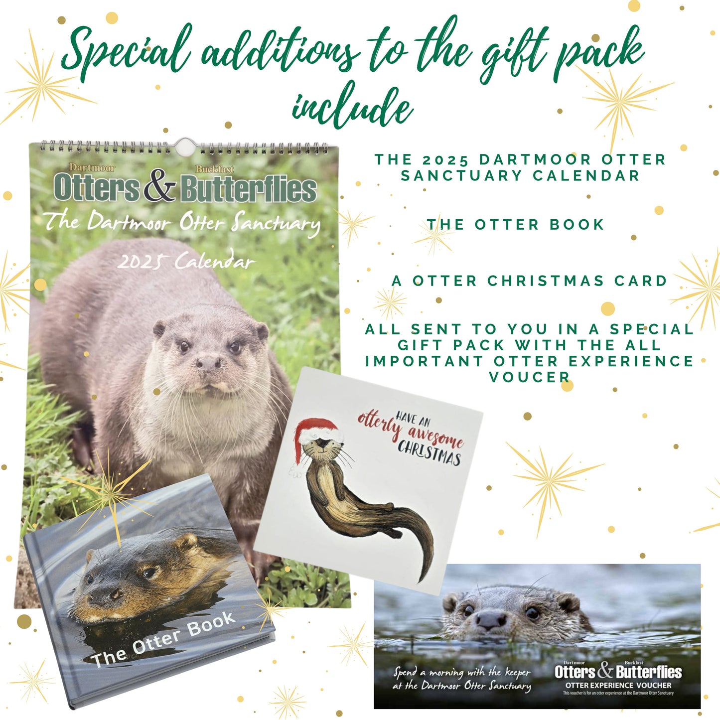 Special Christmas Otter Experience Gift Pack