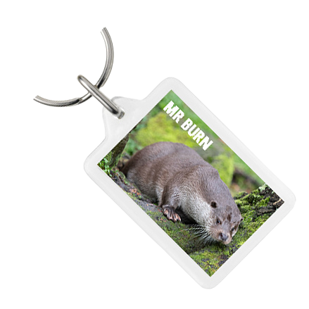 Otter Sanctuary Key rings