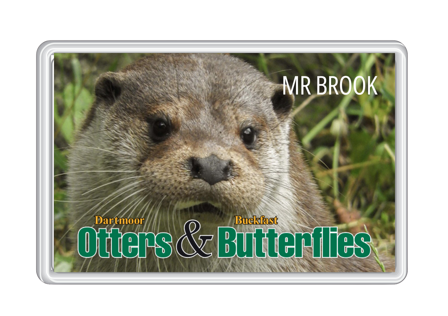 Dartmoor Otter Sanctuary Magnets