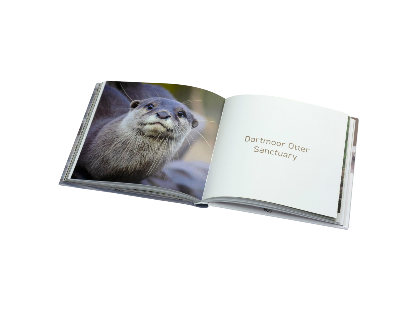 The Otter Book