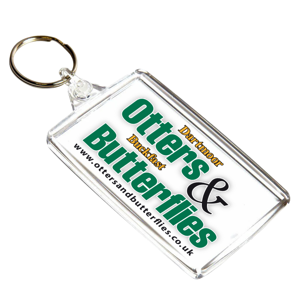 Otter Sanctuary Key rings