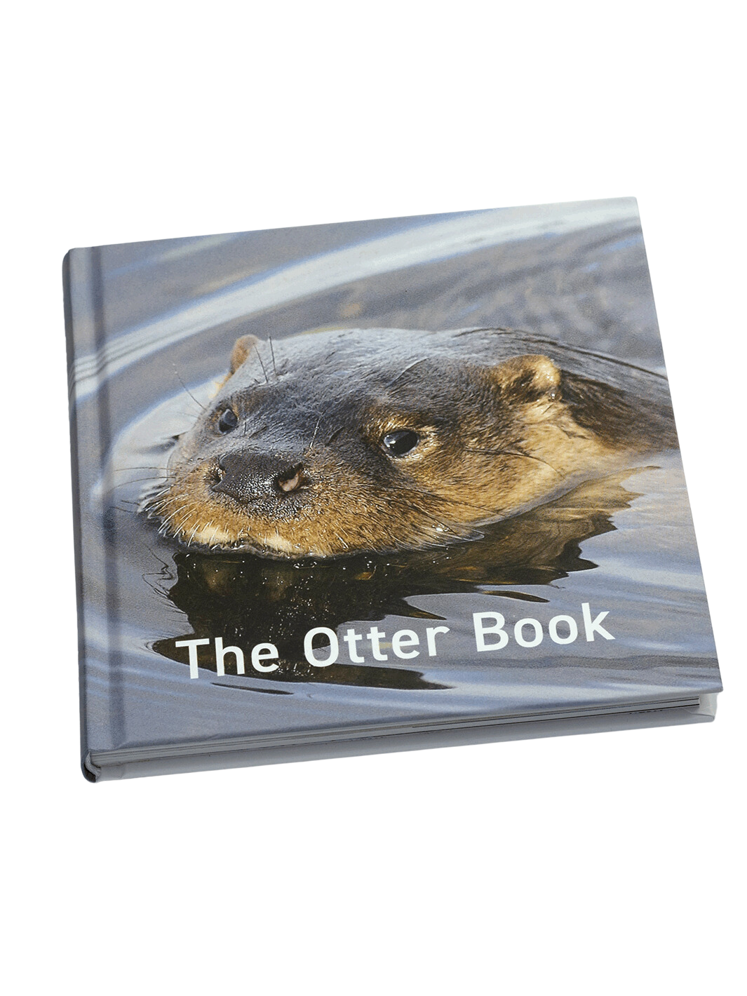 The Otter Book