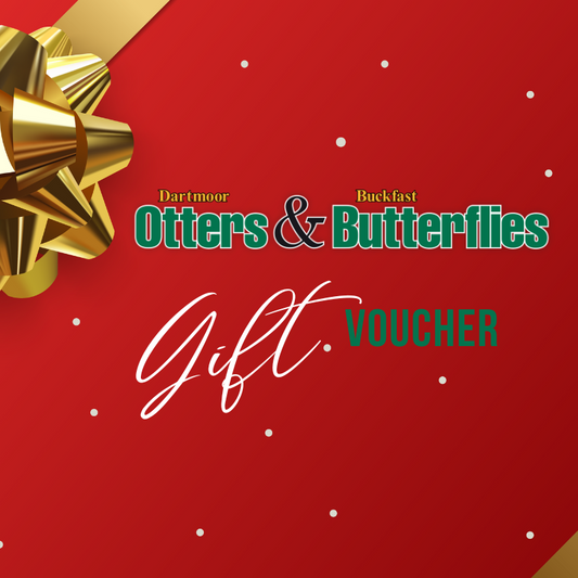 Otters & Butterflies Gift Card
