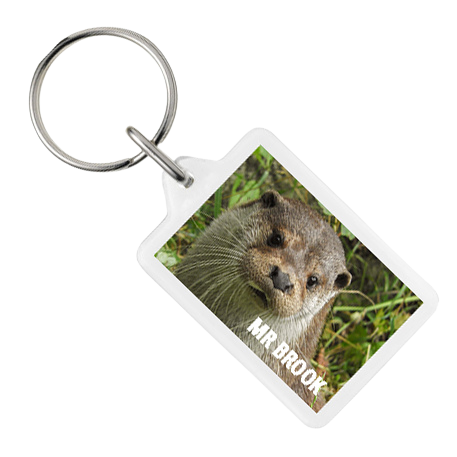 Otter Sanctuary Key rings