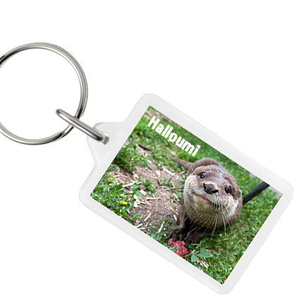 Otter Sanctuary Key rings