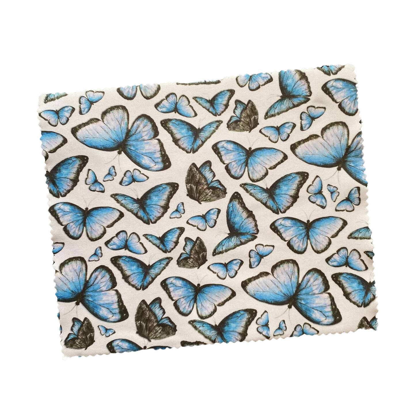 Butterfly Lens Cloth