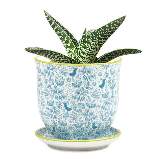 Ceramic Plant Pot with Saucer and Drainage Hole