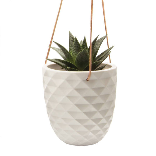 Geometric Ceramic Hanging Planter