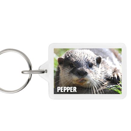 Otter Sanctuary Key rings