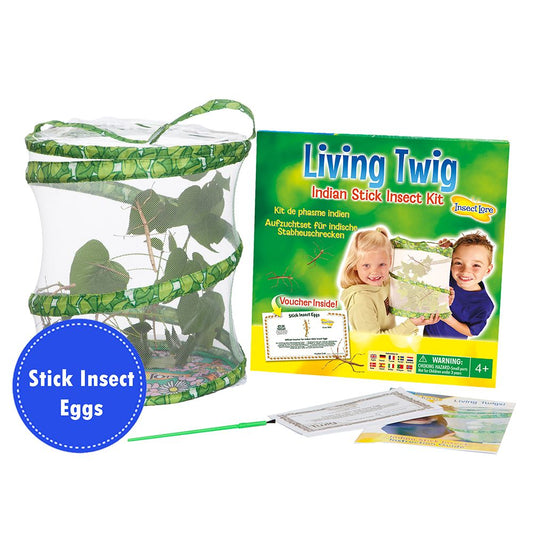 Living Twig - Stick Insect Kit